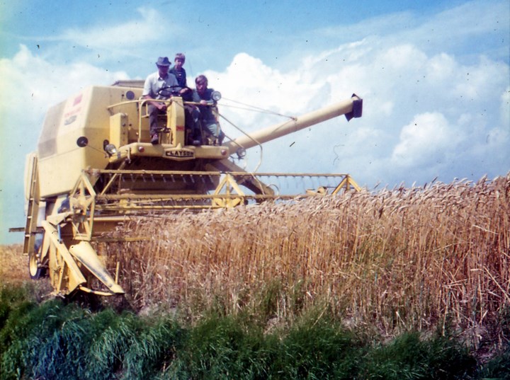 foto